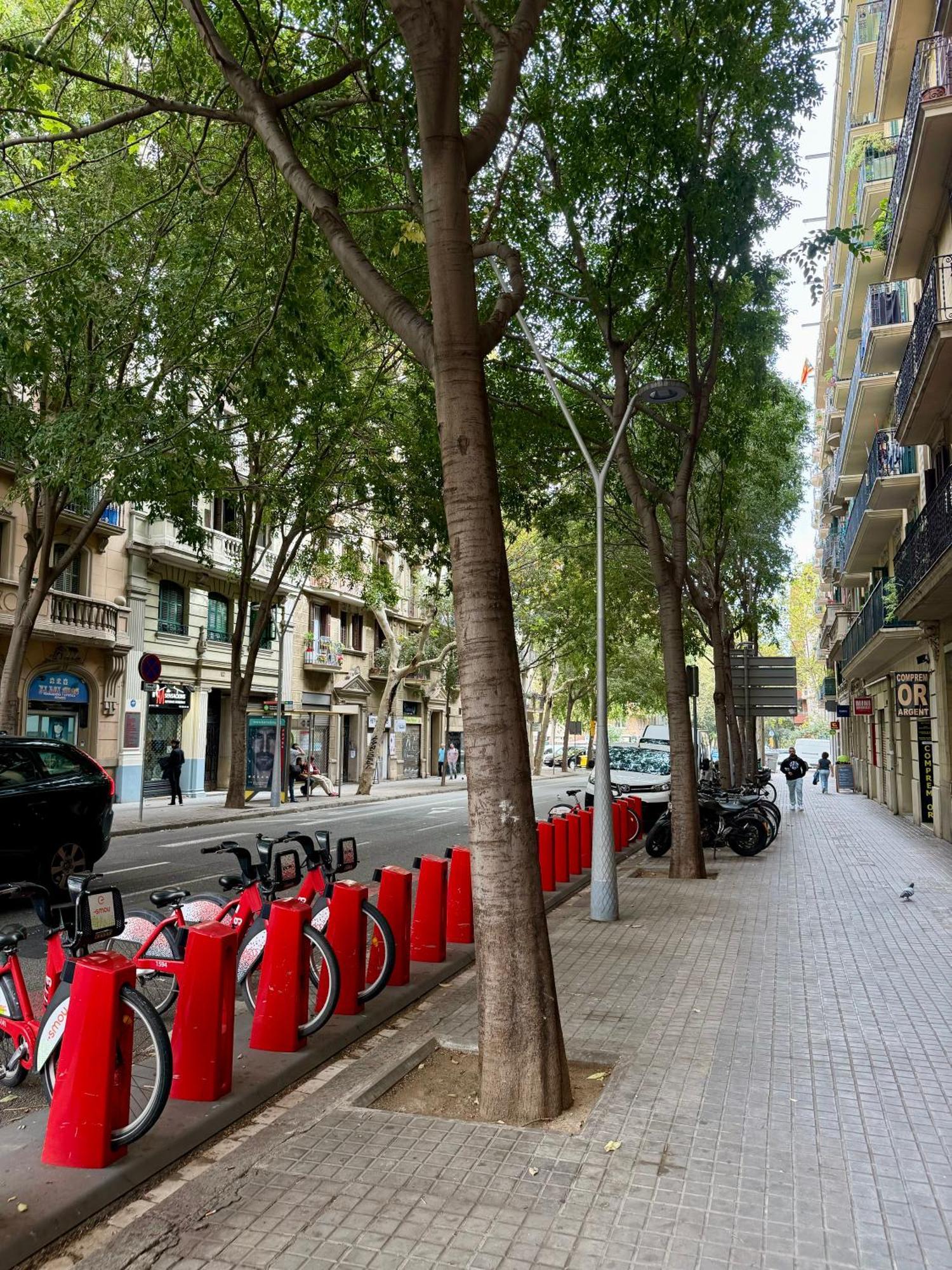 Newly Renovated Stylish Eixample - Great Location Barcelona Eksteriør billede